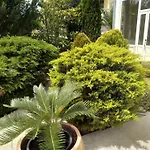 Gregovica 아파트 *