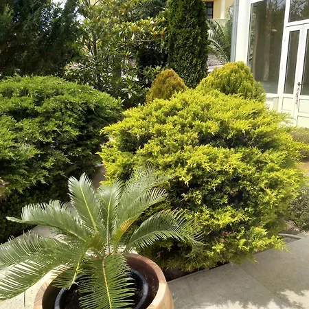 Gregovica Apartamento *